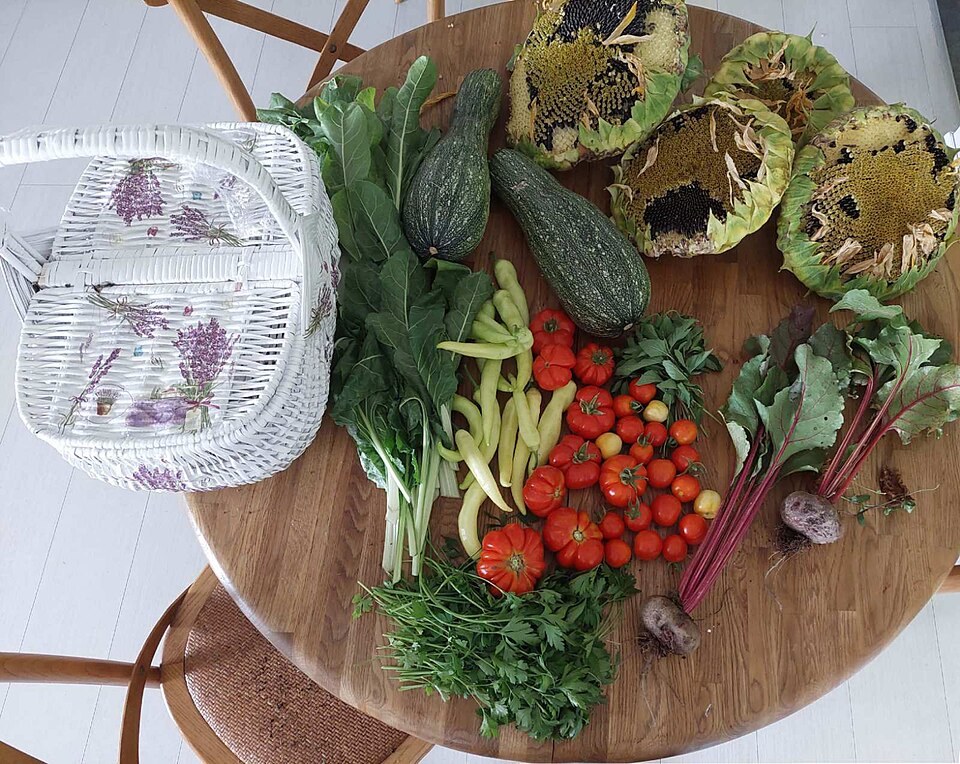 A plate of freshly harvested vegetables